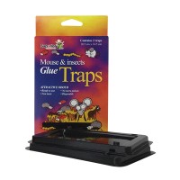 GLUE TRAPS MOUSE AND INSECTS #24102